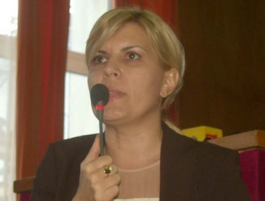 Elena Udrea, parlamentar PDL: